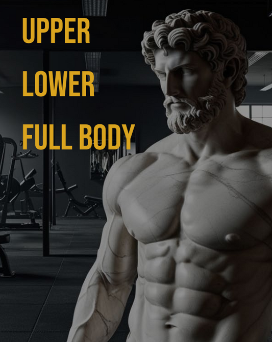 Upper & Lower Full Body Fitness Program